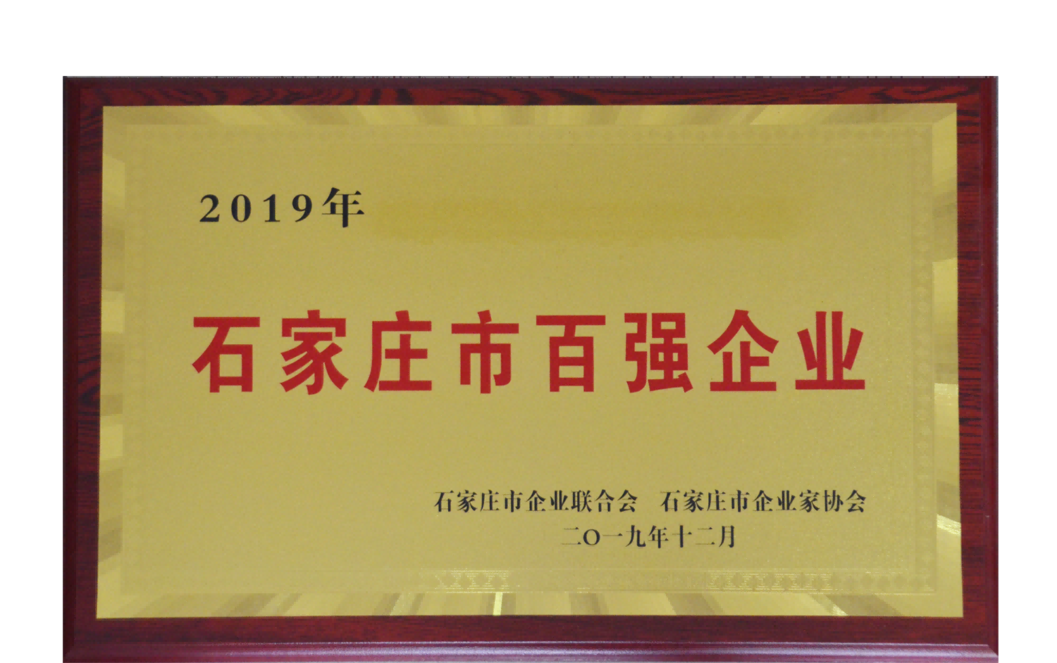 集團(tuán)公司榮獲石家莊市百?gòu)?qiáng)企業(yè)